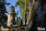 rowyokolica011